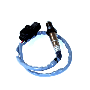 Oxygen Sensor (Rear)